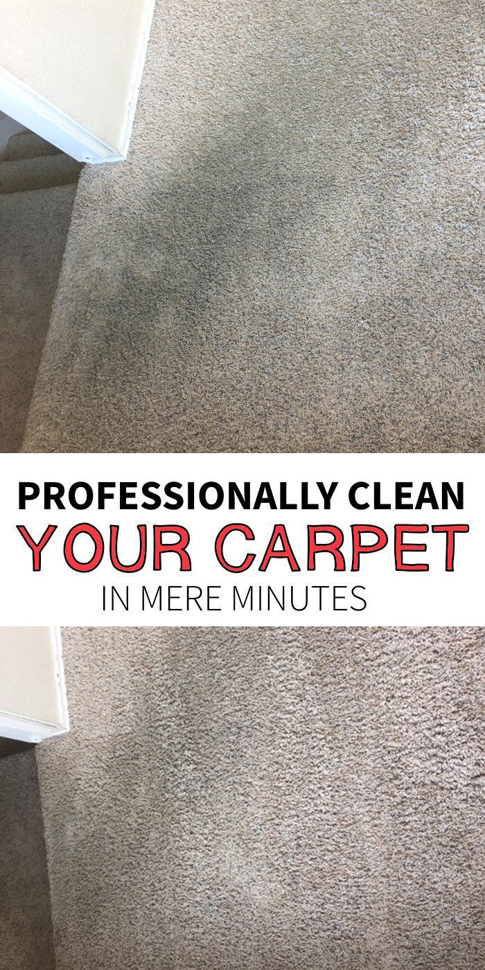 the words professionally clean your carpet in minutes