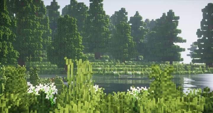 an image of some trees and water in the middle of it's own land