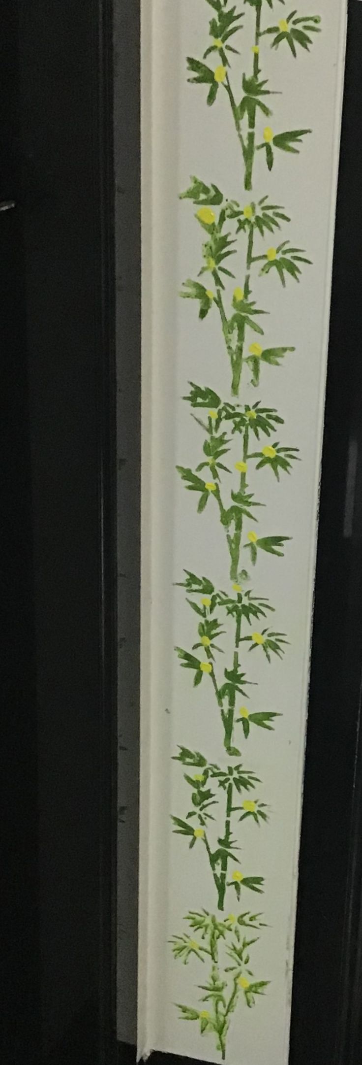 an image of a green plant growing on the side of a door way that is painted white and has yellow flowers