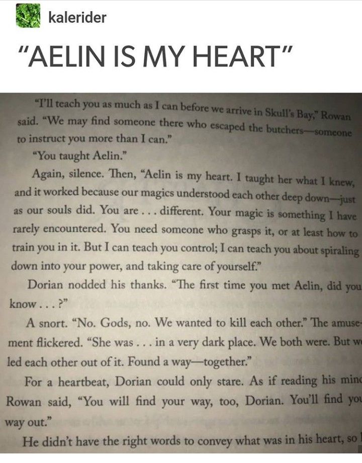 an open book with the words aelin is my heart