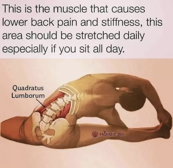 Low Back Pain Relief, Trening Fitness, Easy Yoga Workouts, Back Pain Exercises, Lower Back Pain, Back Pain Relief, Flexibility Workout, Health Facts, Quick Workout