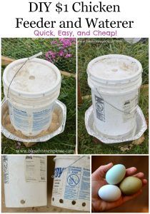 the instructions for how to make a chicken feeder and water bucket with eggs in it