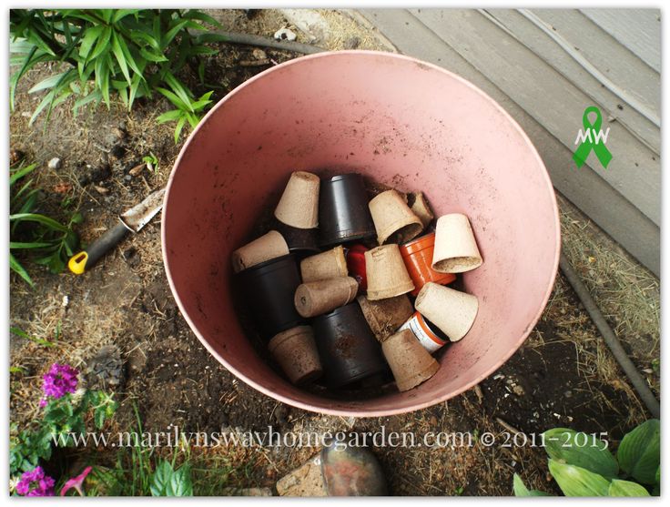 a pink bowl filled with lots of different types of rocks and gravel in the dirt