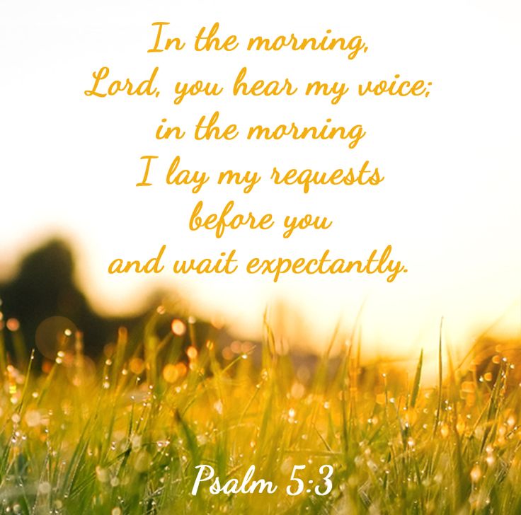 a field with grass and the words, in the morning, lord you hear my voice