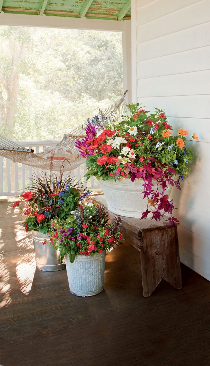 two potted plants sitting on a porch next to a hammock