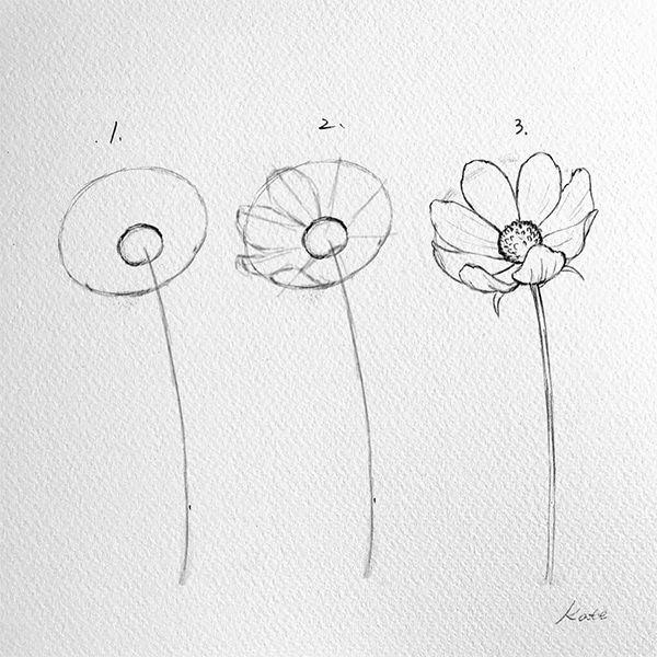 three different types of flowers are shown in this drawing