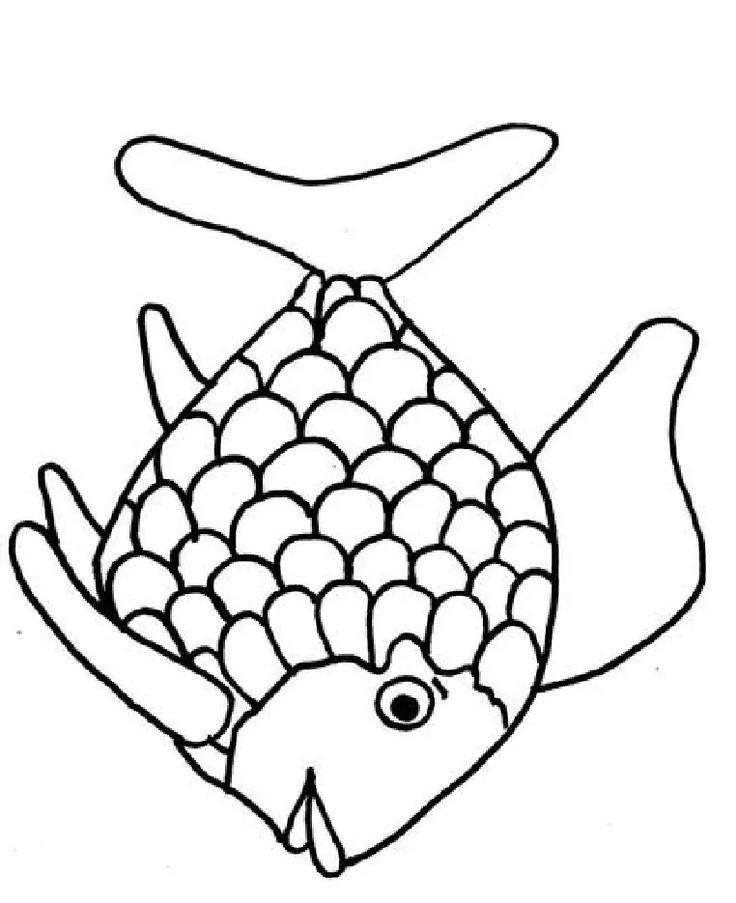 an image of a fish that is drawn in the style of a drawing on paper