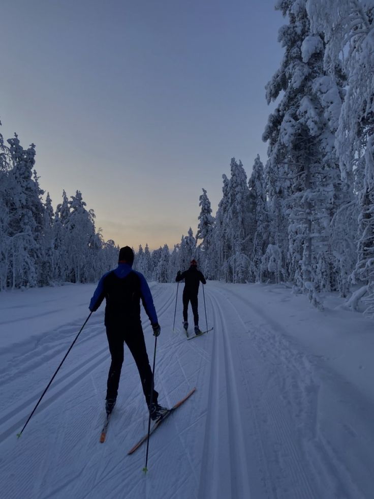 two people cross country skiing in the woods at sunset or dawn with snow on the ground