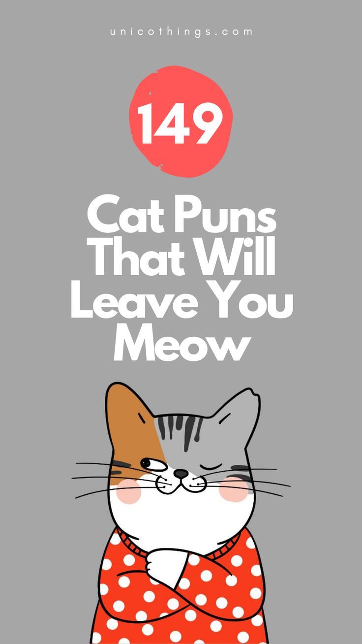 a cat wearing a red and white polka dot shirt with the words,'94 cat puns that will leave you meow '