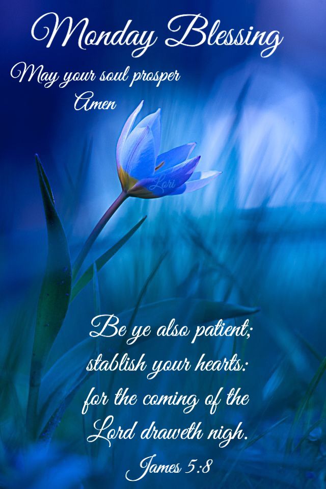 a blue flower with the words monday blessing written in white on it, and an image of