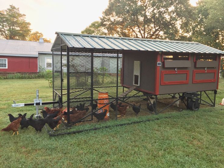 a chicken coop with several chickens in it