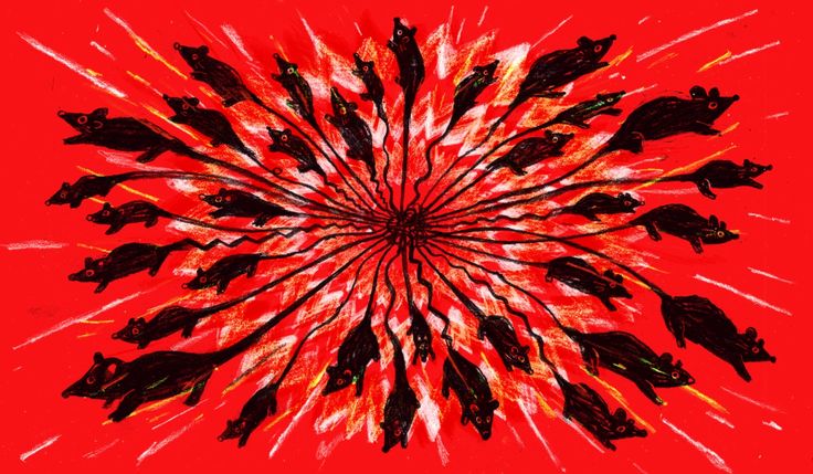 an image of a red and black firework with lots of cats in the center