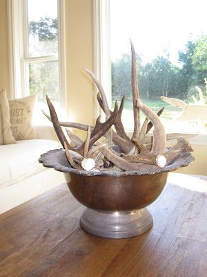 a wooden table topped with a bowl filled with antlers