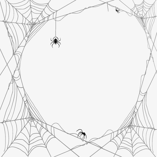 black and white image of spider webs in the center of a circle with two smaller spiders on it