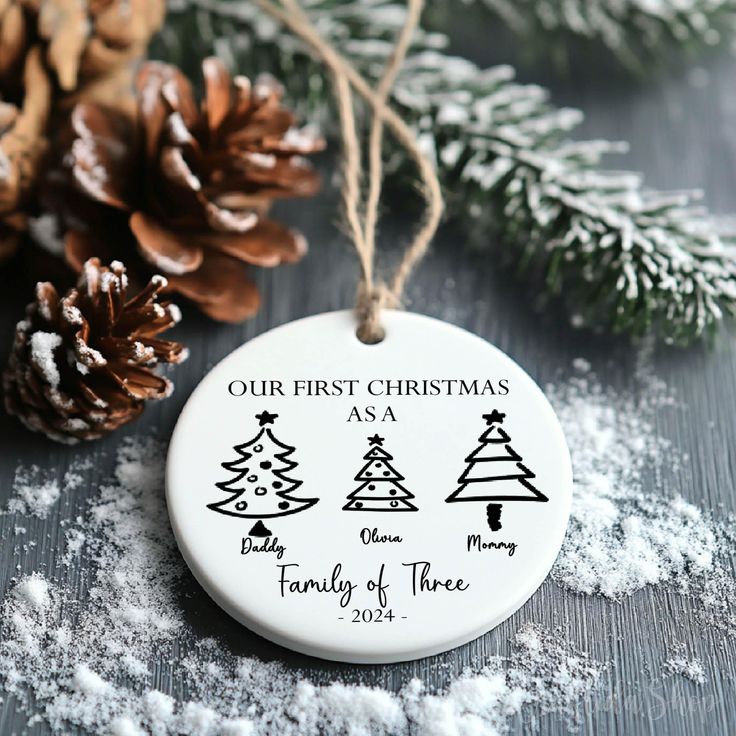 a christmas ornament with three trees on it next to pine cones and snow