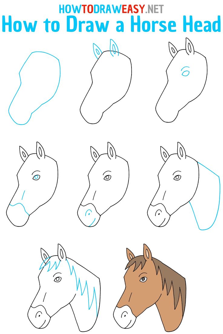 how to draw a horse head step by step drawing instructions for kids and beginners