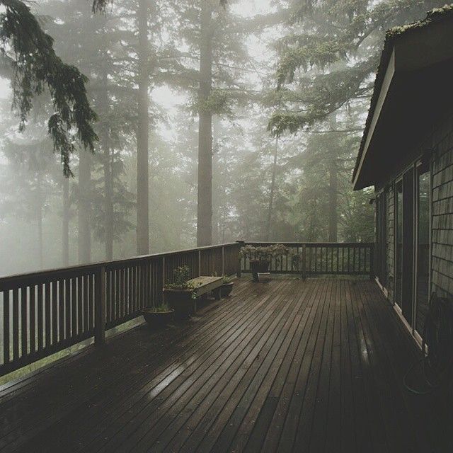 a wooden deck surrounded by tall trees in the fog