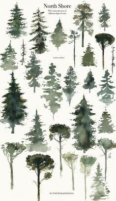 watercolor trees are shown in different sizes and colors, with the words north shore written on