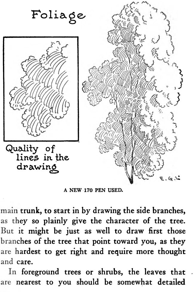 an old book page with two trees and the words folige written in it