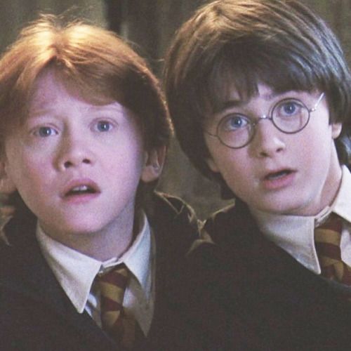 two young boys wearing harry potter robes and glasses