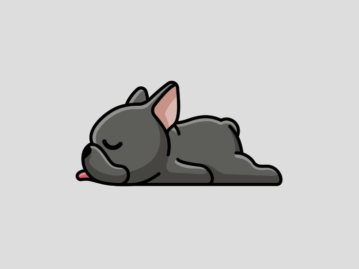 a small gray dog laying on its side with it's head up and eyes closed