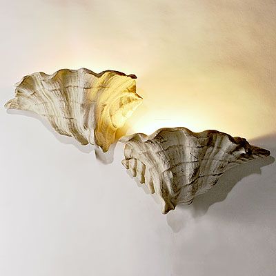 two scallop shells sitting on top of a white wall next to a light fixture