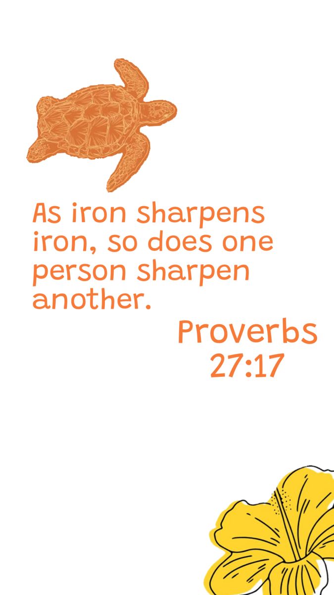 an orange turtle with the words as iron sharpes iron, so does one person another proves prove