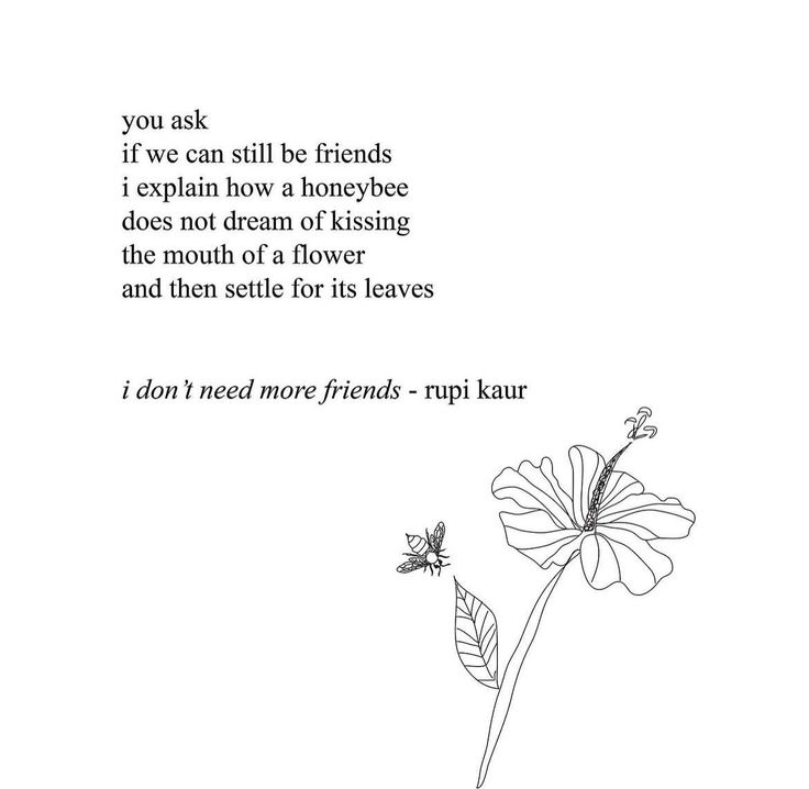 a drawing of a flower with the words, you ask if we can still be friends i explain how a honeybee does not dream of kissing the mouth of a flower and then