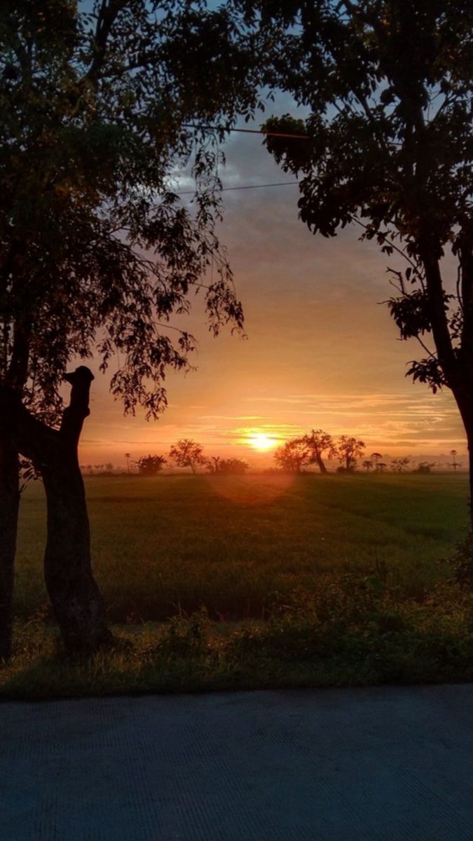 Wallpaper Sunrise Mornings, Sunrise Real Pic, Morning Sunrise Snaps, Morning View Snap, Sunrise Photography Mornings, Good Morning Sunrise Pictures, Morning Sunshine Aesthetic, Sunrise Snap, Morning Aesthetic Sunrise