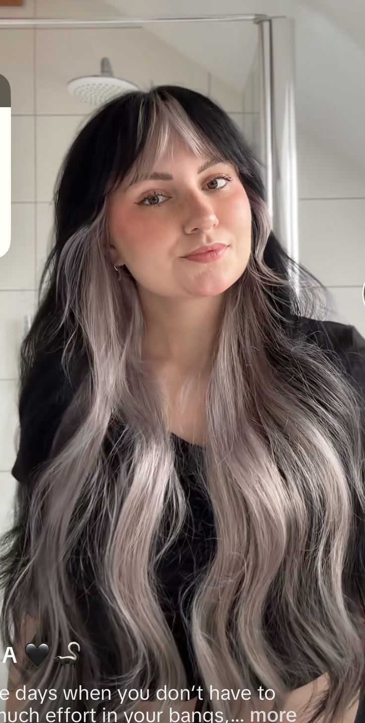 Silver Hair Underneath, Ash Grey Underneath Hair, Half Silver Half Black Hair Underneath, Black And Silver Color Block Hair, Gray Underneath Hair, White Hair Underneath, White Bangs Brown Hair, Black Hair White Streak Bangs, Narcissa Hair