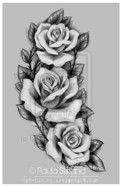 an image of some roses on the back of a cell phone screen, with text below it