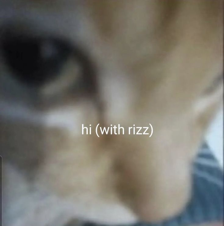 a blurry photo of a cat's face with the words hi with rizz