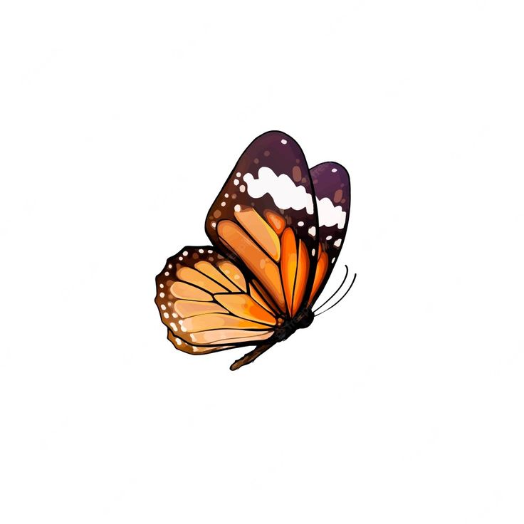 an orange butterfly flying in the sky