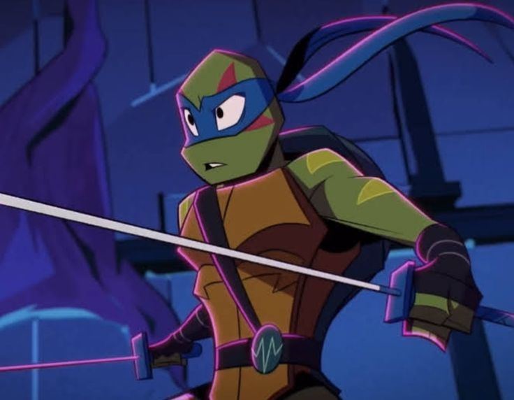 the teenage mutant ninja is holding two swords