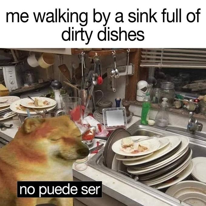 a dog sitting in front of a sink filled with dishes