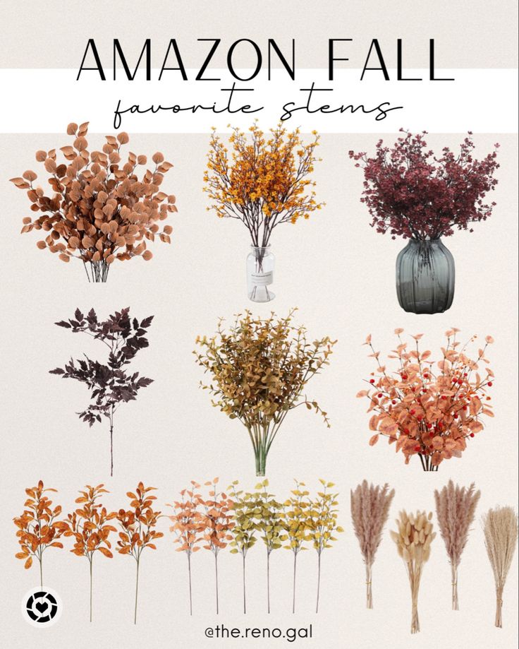 an image of flowers in vases with the words amazonn fall favorite stems on it