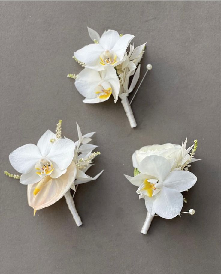 three white flowers are sitting on the table