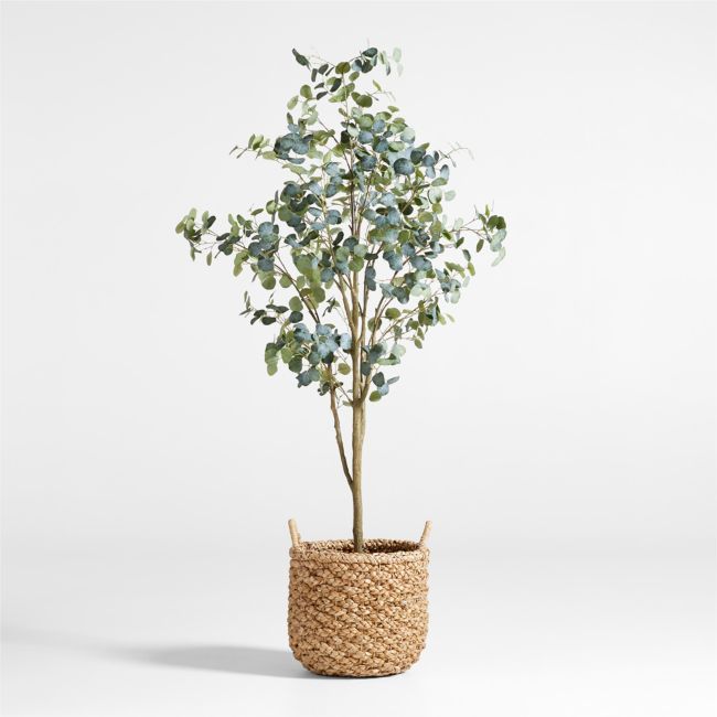 a small tree in a woven basket on a white background with blue flowers and leaves