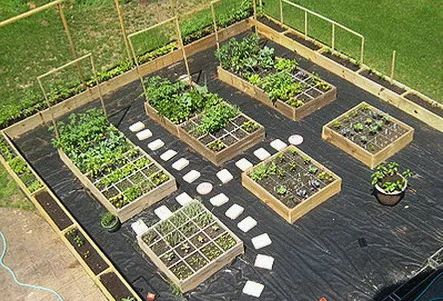 an aerial view of several raised garden beds