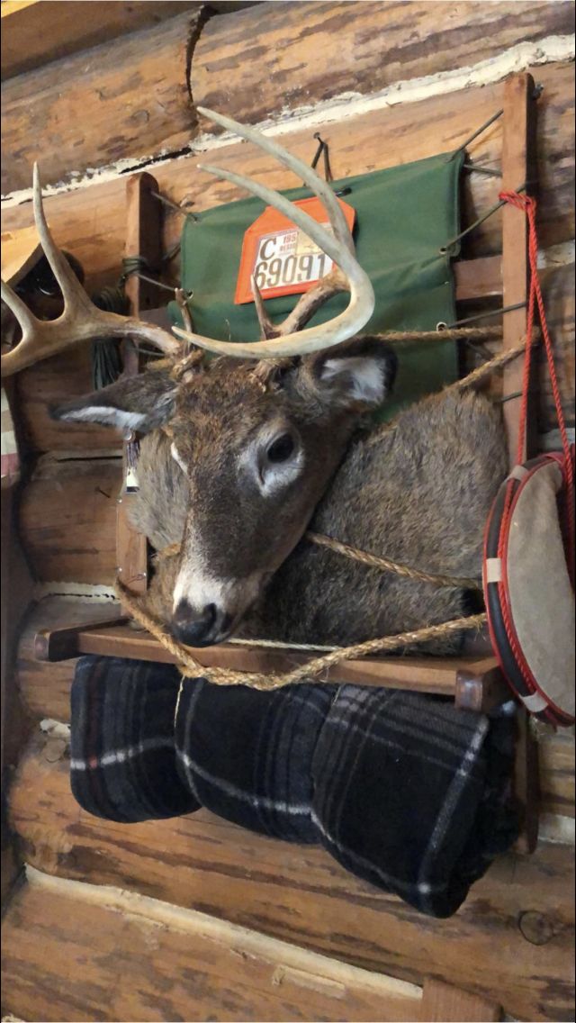 a deer head mounted to the side of a wooden wall next to boots and hats