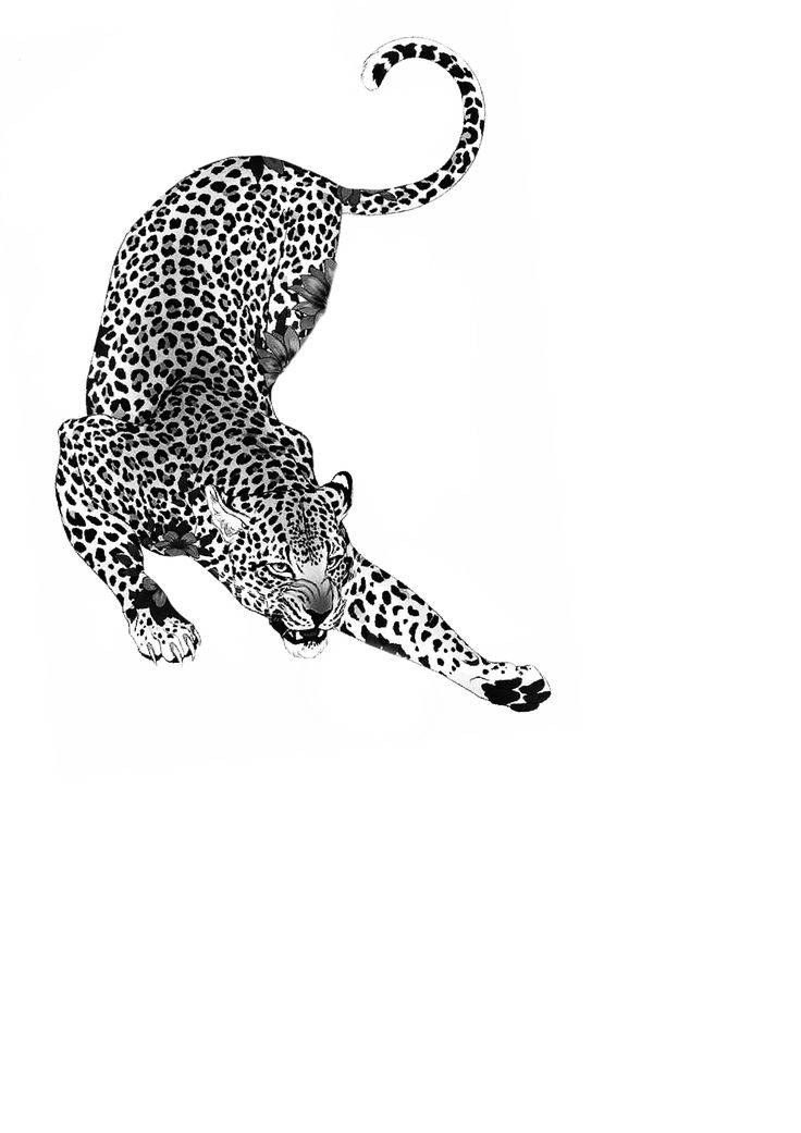 a black and white photo of a cheetah in the air with its tail extended