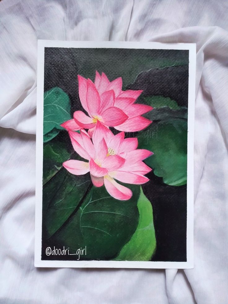 a pink flower sitting on top of green leaves