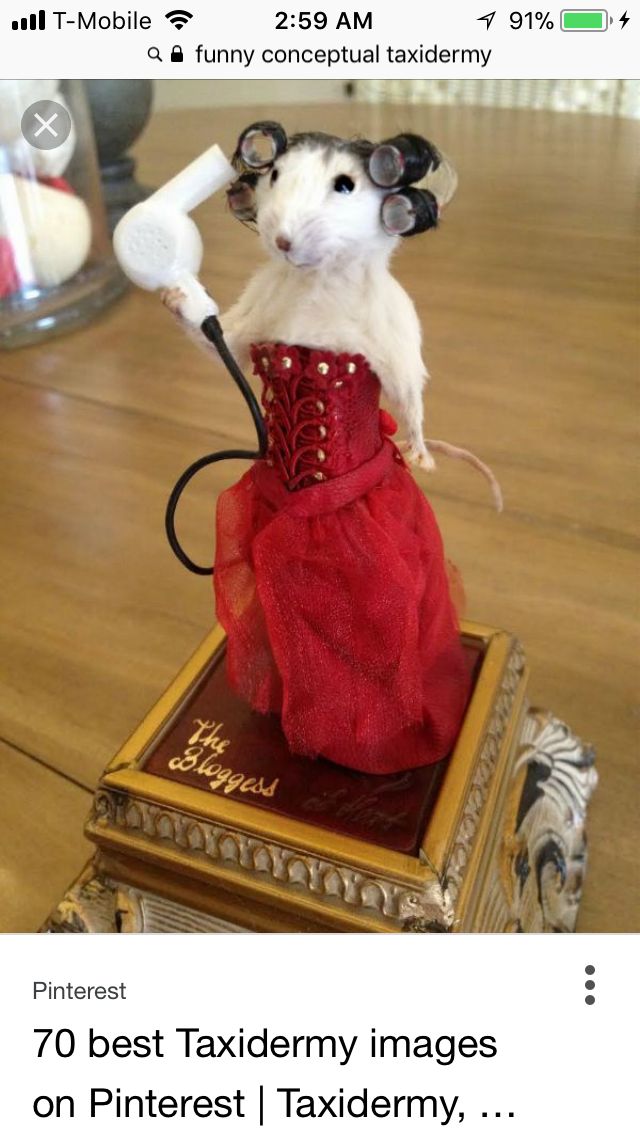 a mouse in a red dress on top of a book