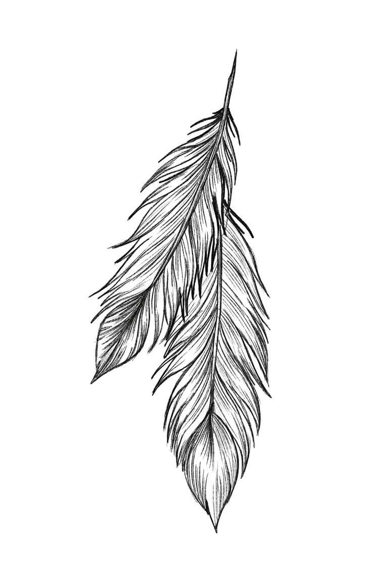 a black and white drawing of a feather