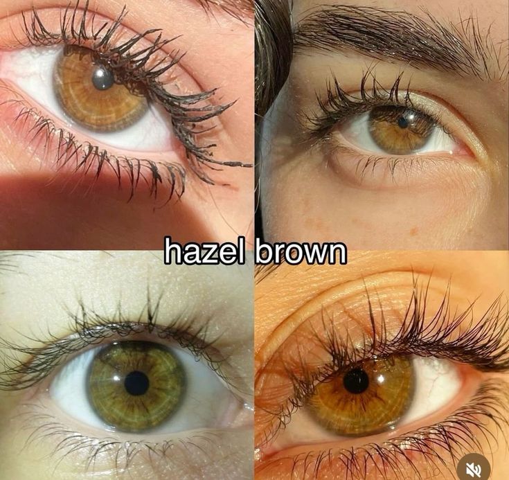 Color Hair Brown, Honey Brown Eyes, Hazel Eyes Hair Color, Brown Hazel Eyes, Brown Eye Quotes, Olive Green Eyes, Pretty Eyes Color, Hazel Brown Eyes, Rare Eye Colors