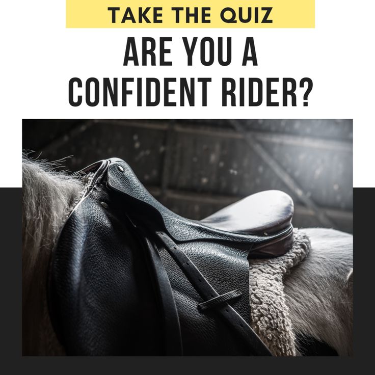 a horse with the words take the quiz are you a confident rider?