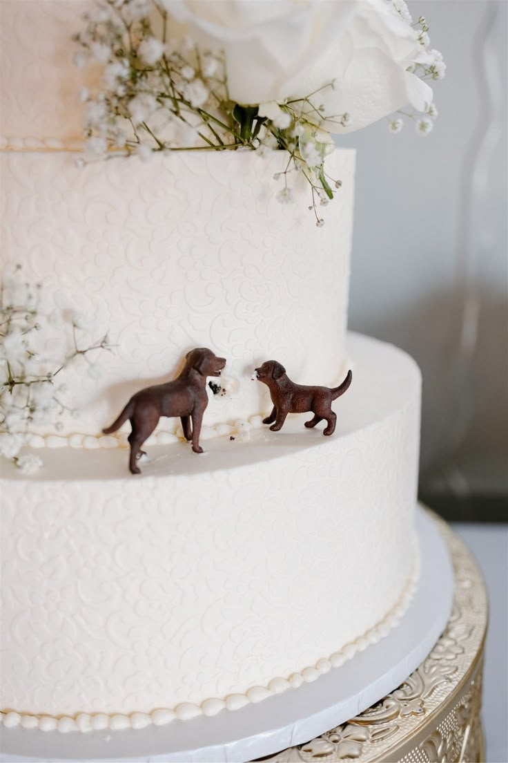 White wedding cake featuring dog toppers and cute bite out of cake detail. Photography by Leah Thomason Photography Dog Ideas At Wedding, 2 Tier Wedding Cake With Dogs, Wedding Cake Dog Figurine, Dog In A Wedding, Unique Wedding Ideas With Dogs, Dog Cake Wedding, Simple Wedding Cake With Dog, Wedding Cake Dog Eating, Dog On Wedding Cake