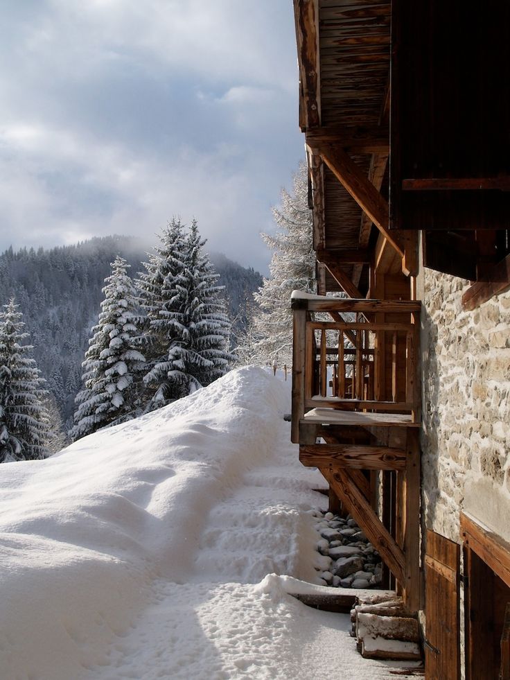 a snow covered mountain side with trees in the background