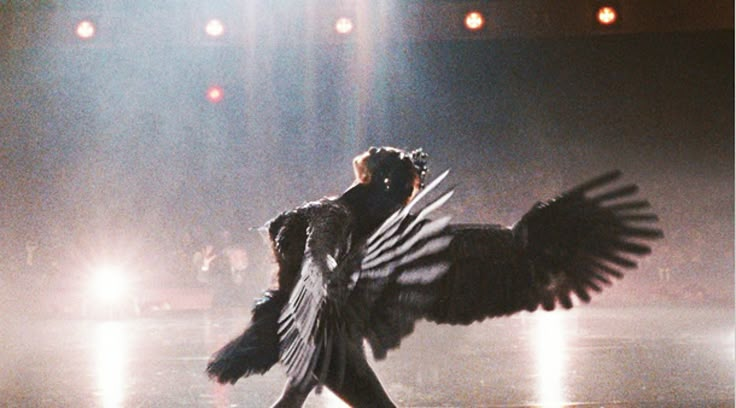 a person with wings outstretched in front of some lights