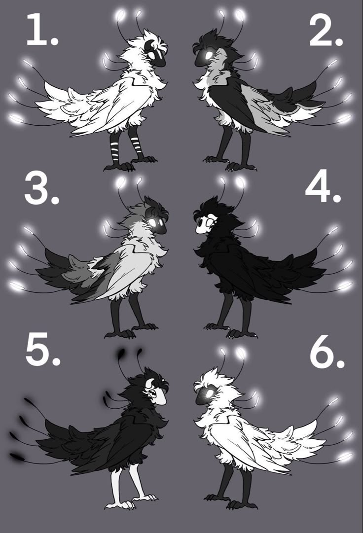 an image of different types of birds with numbers on them